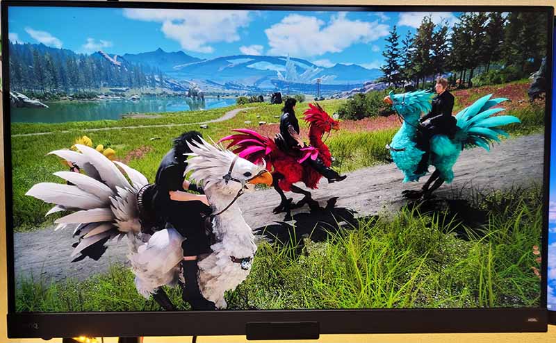 PCゲーム「Final Fantasy XV（Windows Edition）」の4K解像度の最高画質ゲーム画面の直撮り写真（チョコボ）