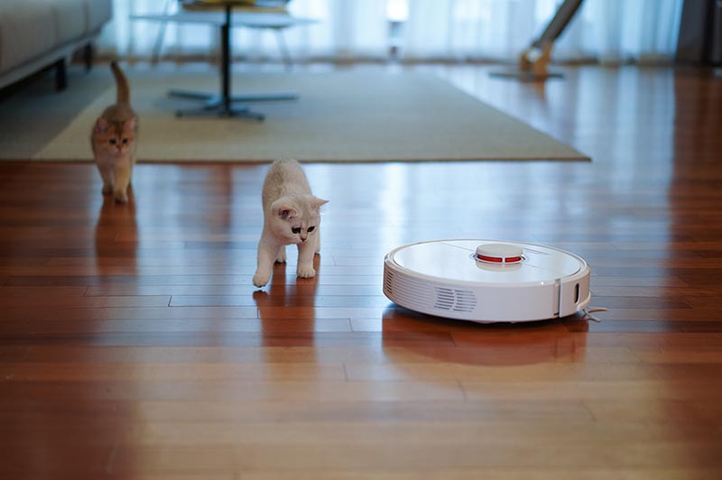 猫に追いかけられるロボット掃除機