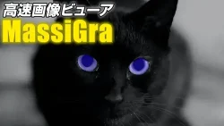 MassiGraのアイコンに似ている黒猫